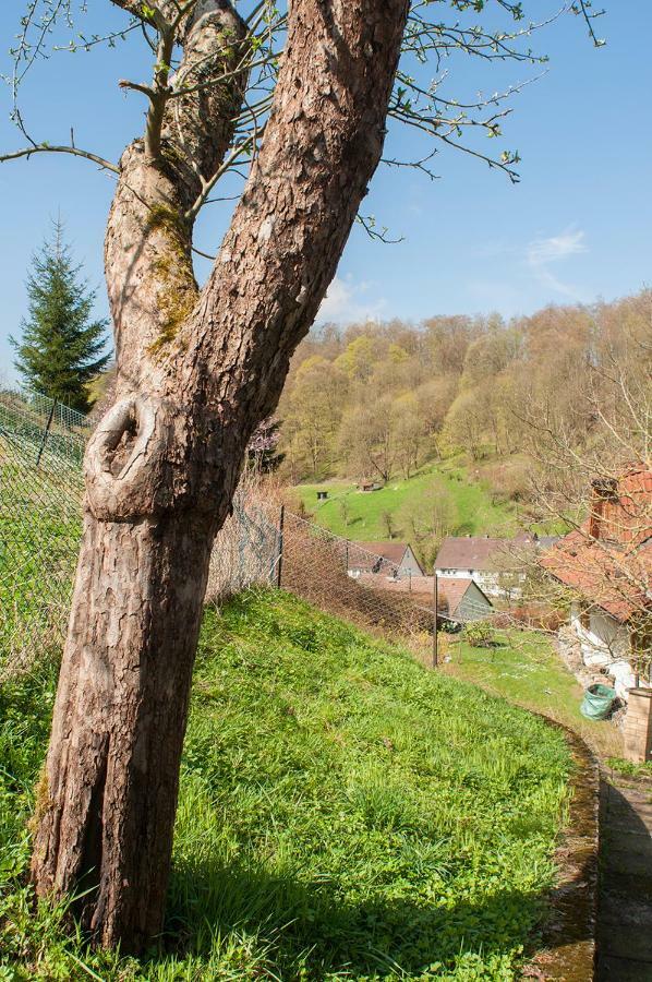 Platell Ferienhaeuser Harz Lerbach Екстериор снимка